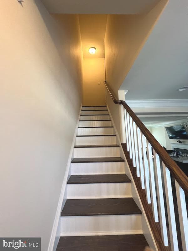 47 Derby Drive photo 13