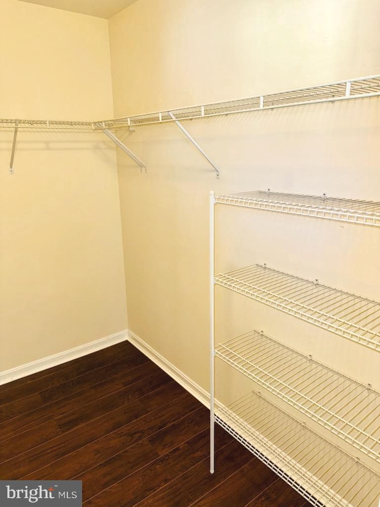 47 Derby Drive photo 18