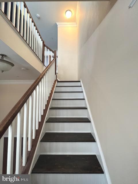47 Derby Drive photo 6