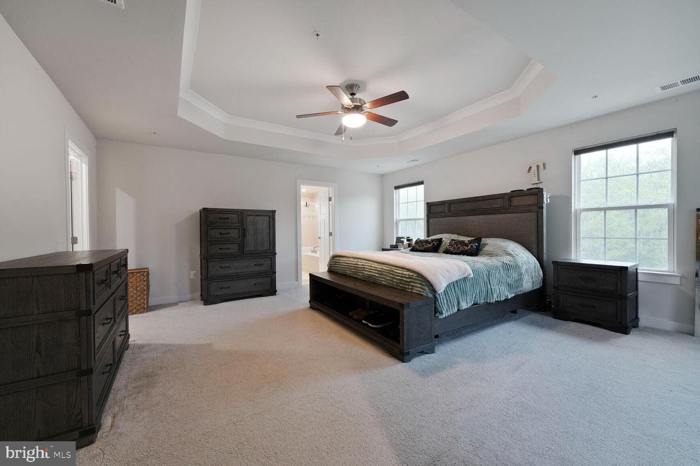 12261 Revolution Court photo 29