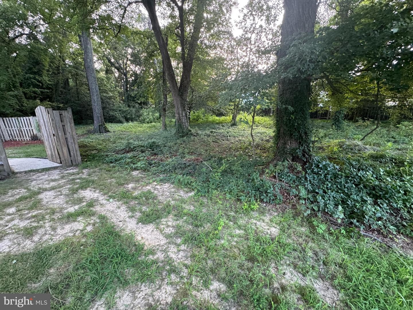 1121 Bannister Circle photo 15