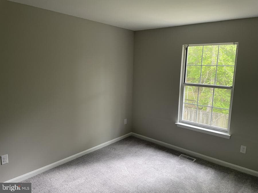 134 Kalmia Court photo 11