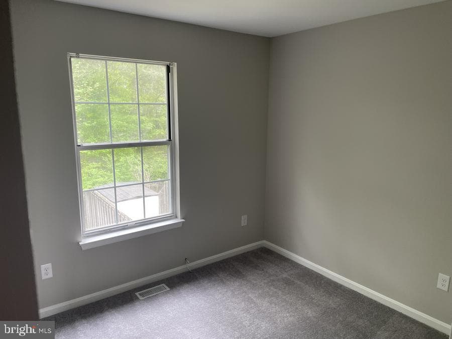134 Kalmia Court photo 12