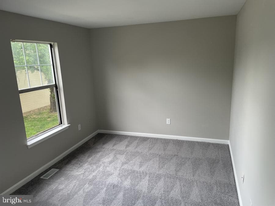 134 Kalmia Court photo 8