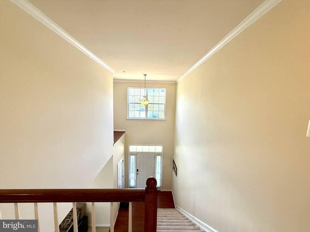 5096 Atlantis Lane photo 32