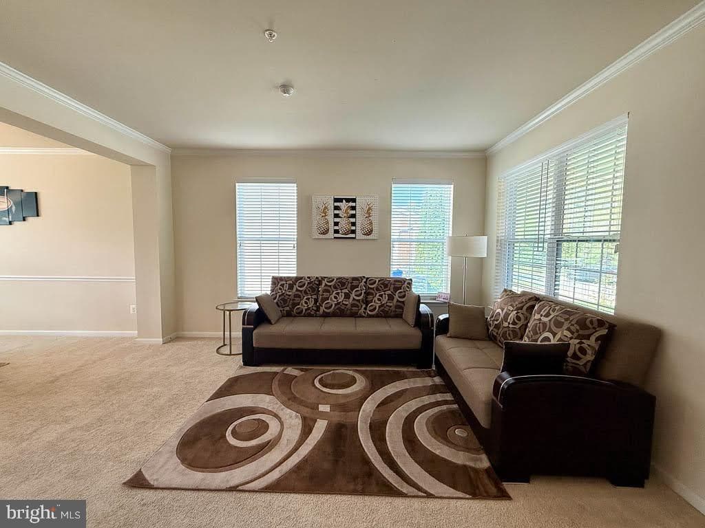 5096 Atlantis Lane photo 8