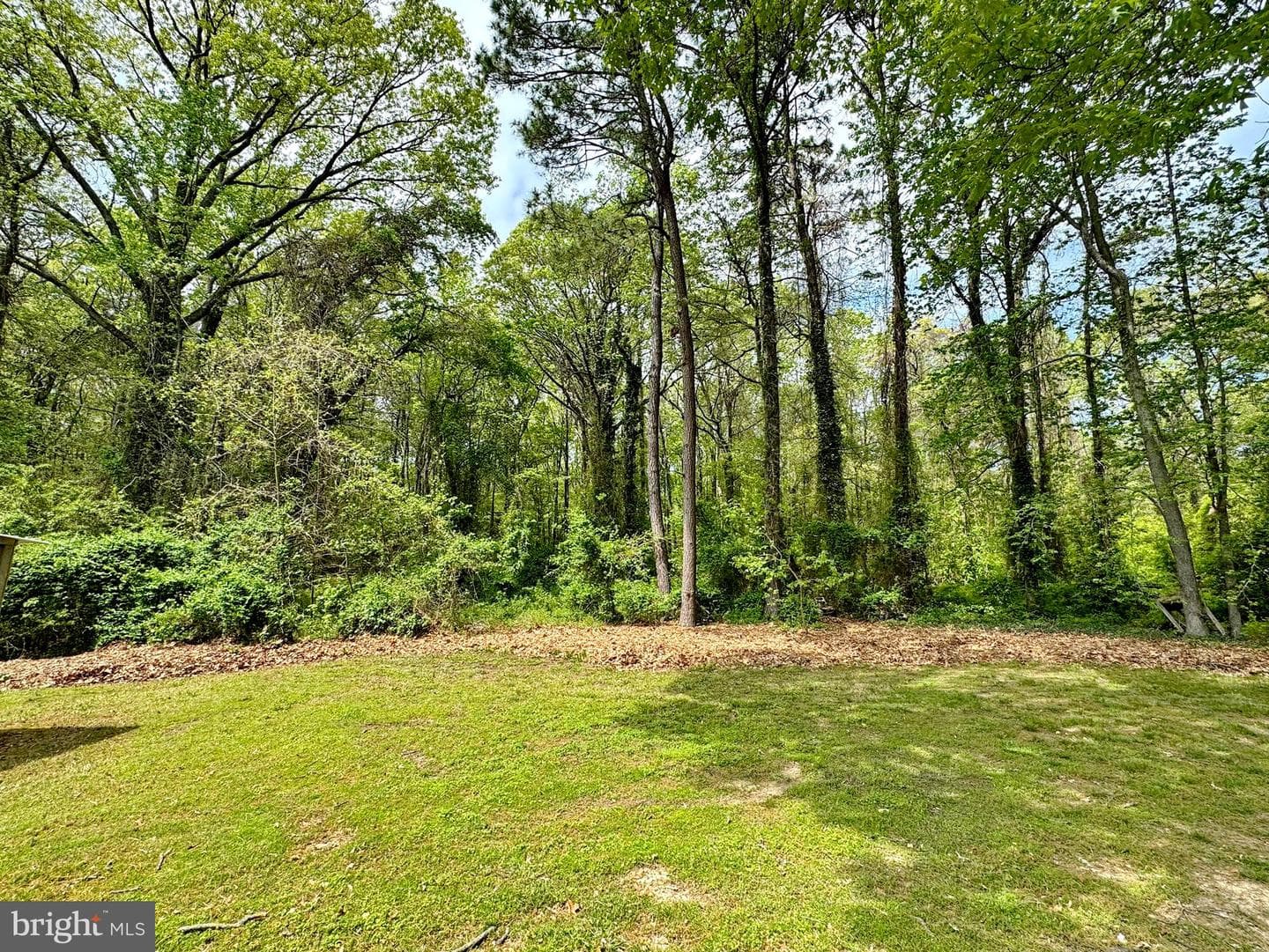 18855 Wicomico River Drive photo 83