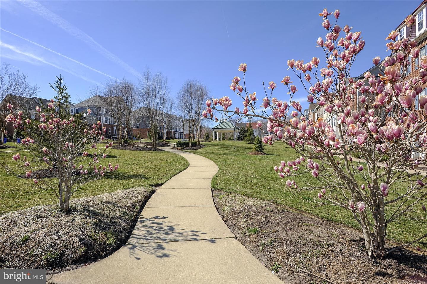 12 Steeplechase Drive photo 52