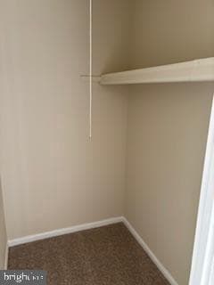 5123 Shawe Place #4-M photo 10
