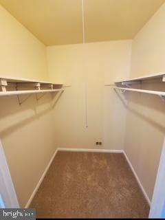 5123 Shawe Place #4-M photo 19