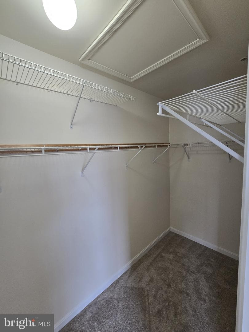 10841 Nautica Place photo 42