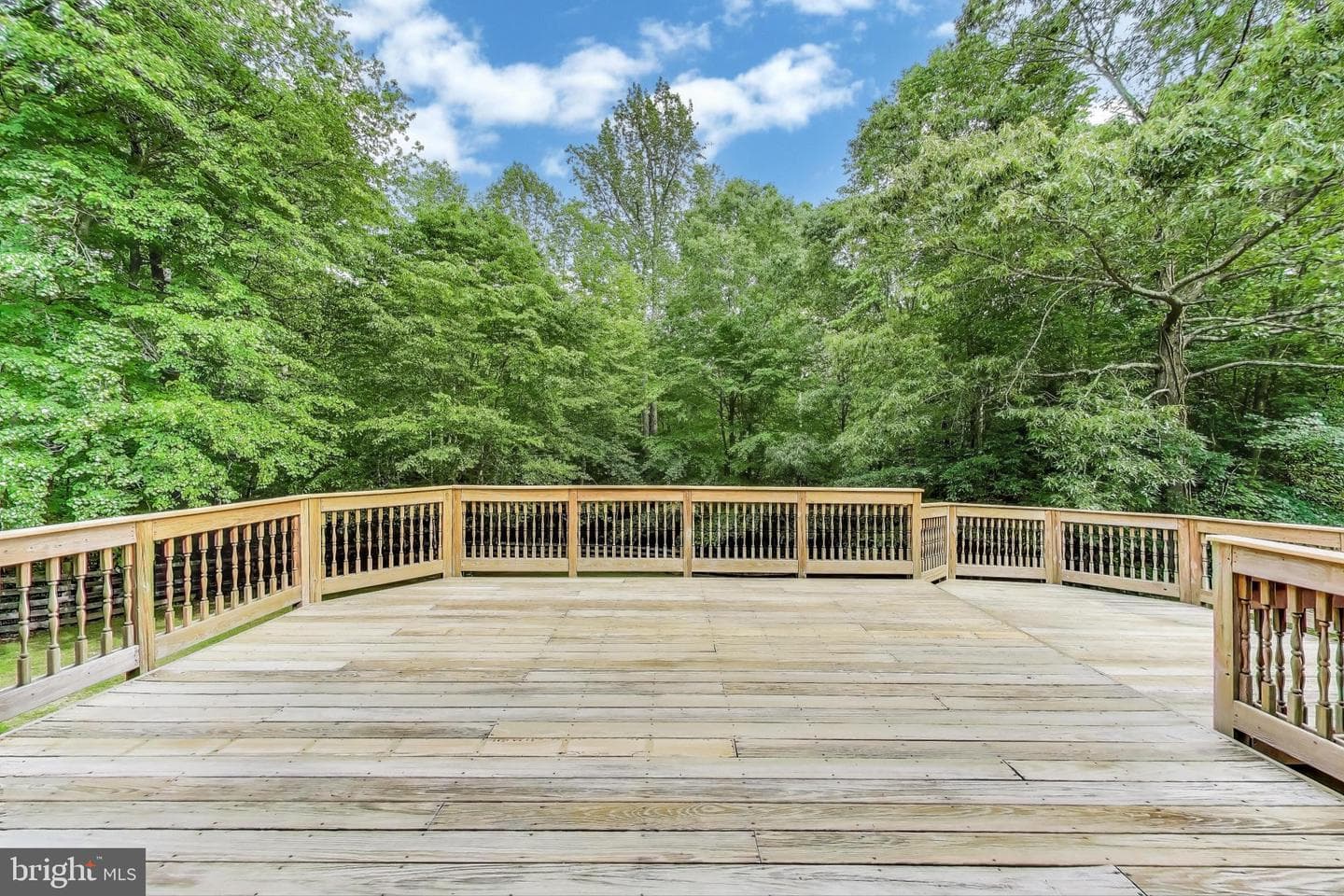 13321 Ryceville Road photo 44