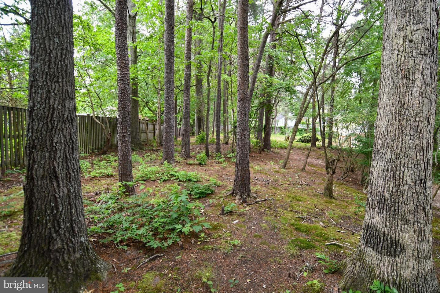3505 Fox Ridge Road photo 41