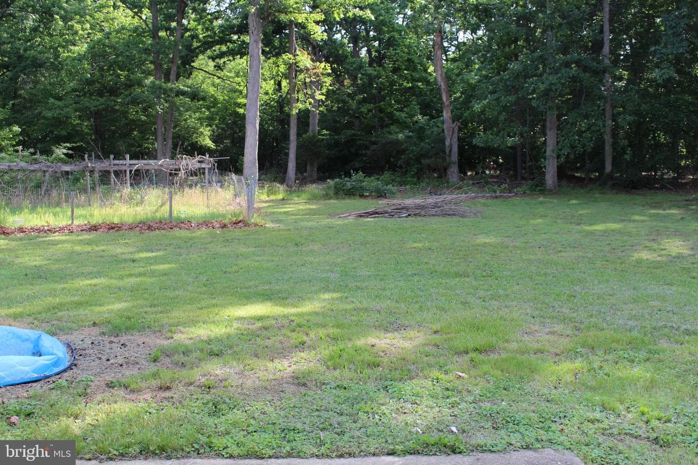 3720 Laurel Drive photo 5