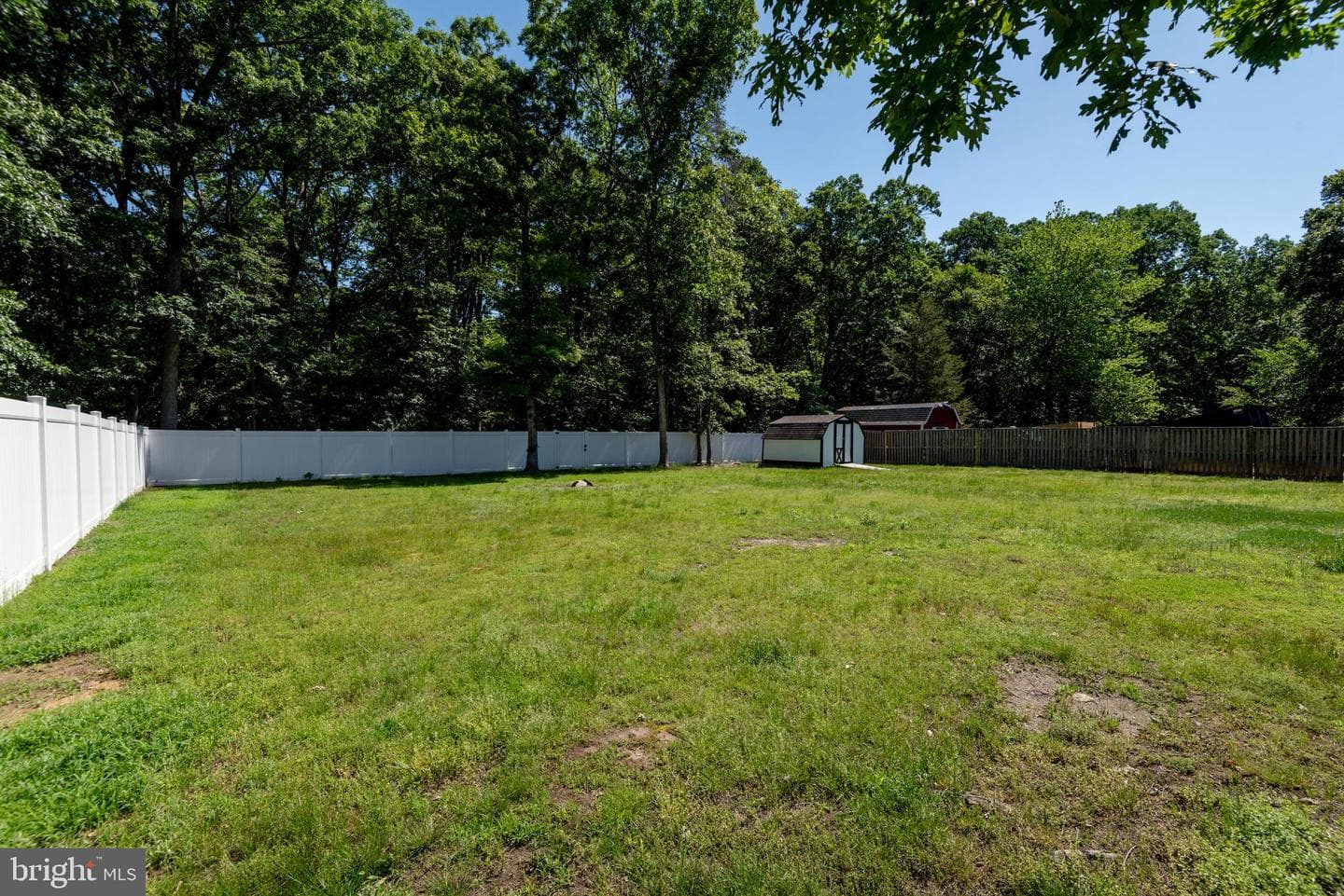 8535 Abell Way photo 10