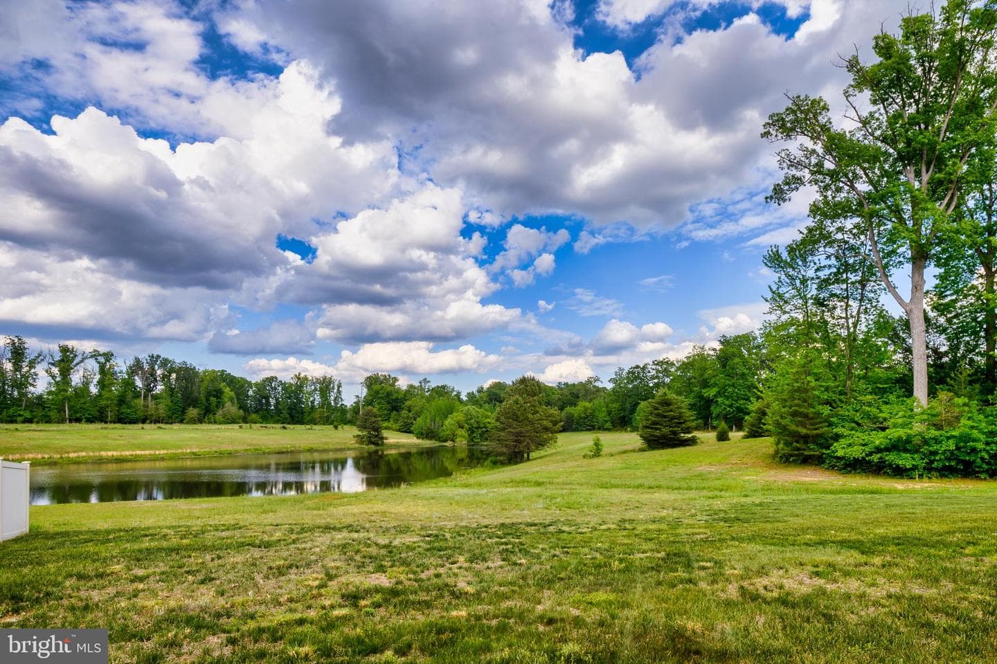106 Pollen Drive photo 42