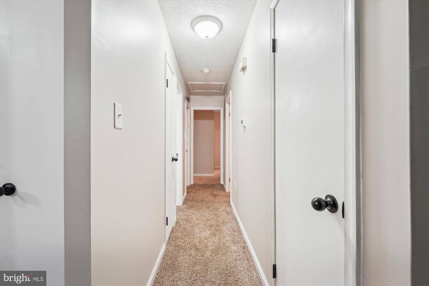 9850 Sylvan Turn photo 35