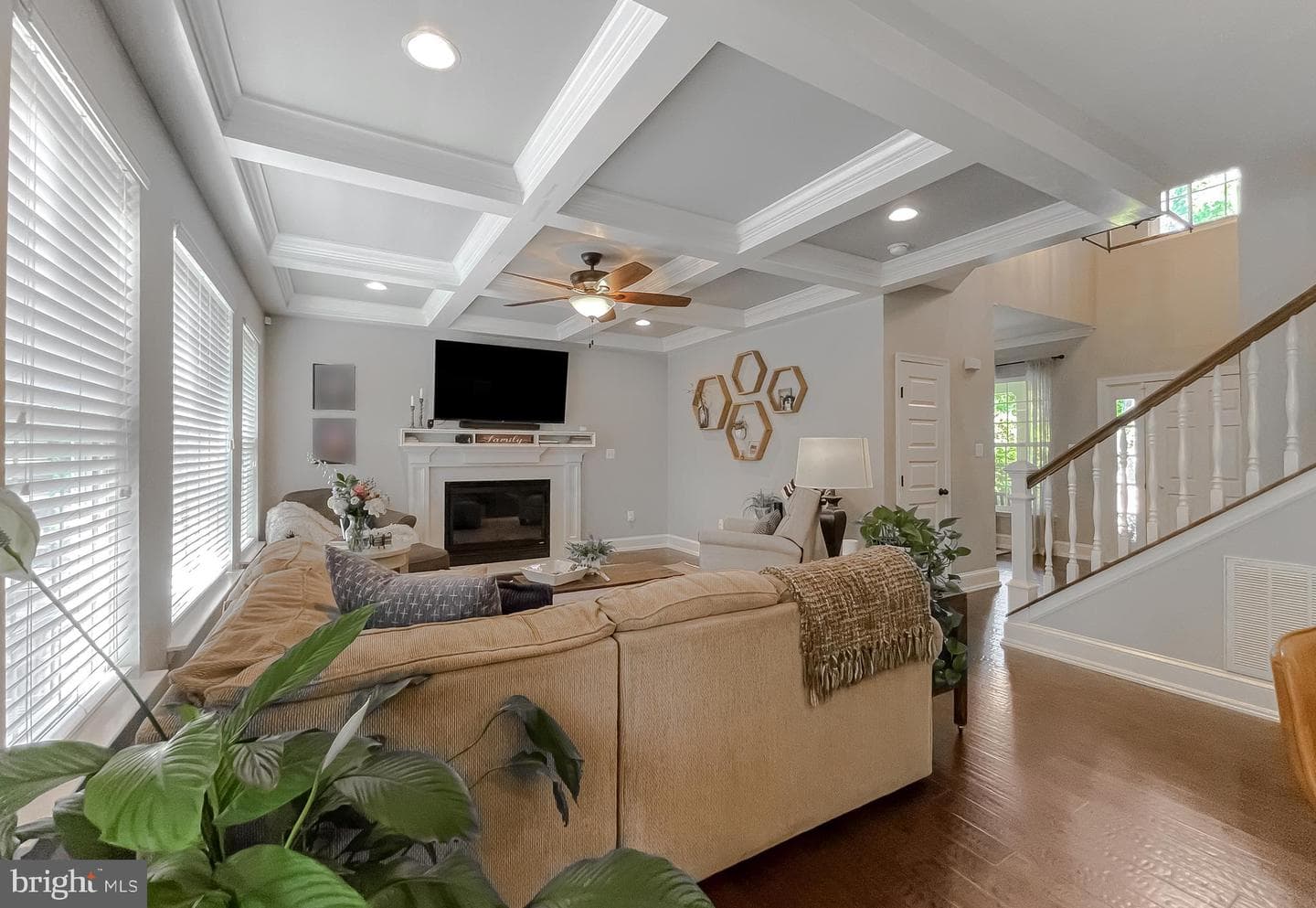 11372 Wollaston photo 16