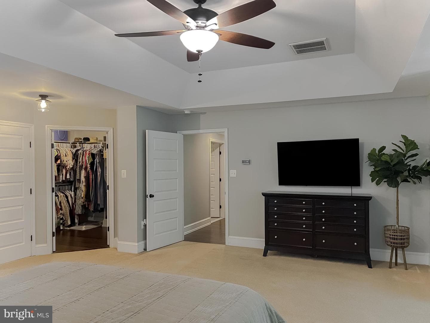 11372 Wollaston photo 47