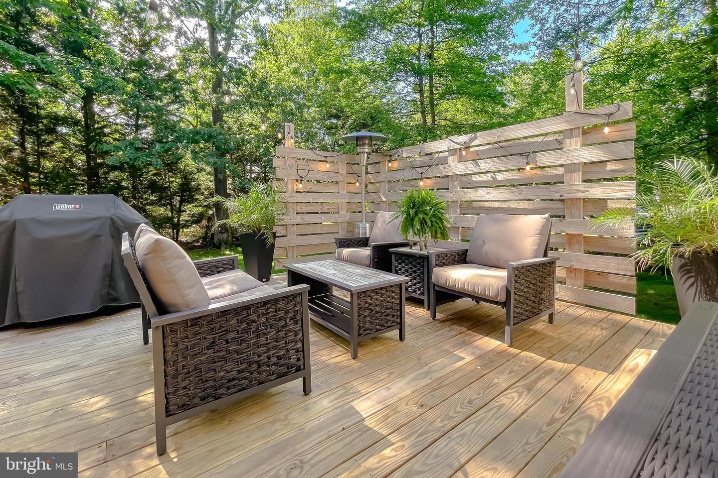 11372 Wollaston photo 77