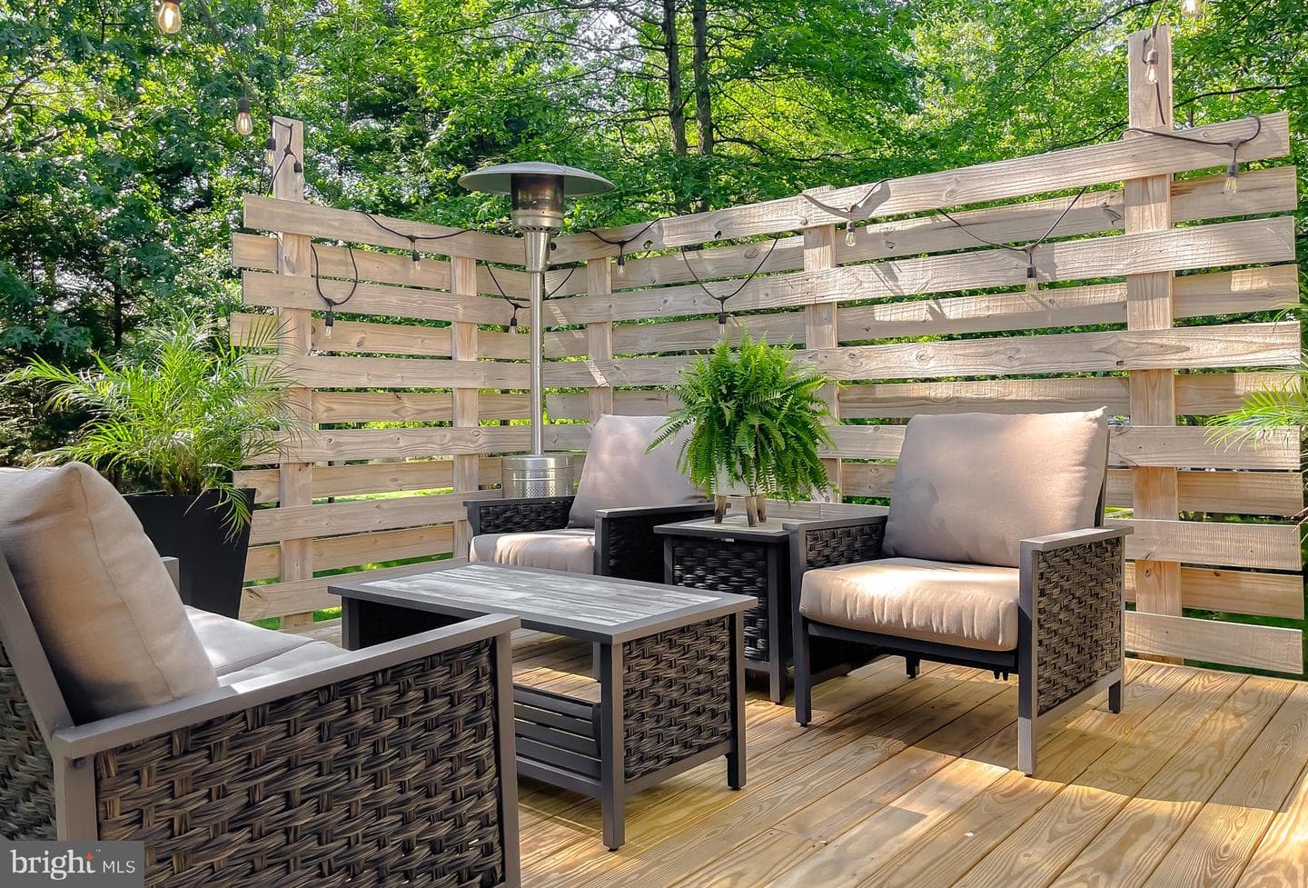 11372 Wollaston photo 78