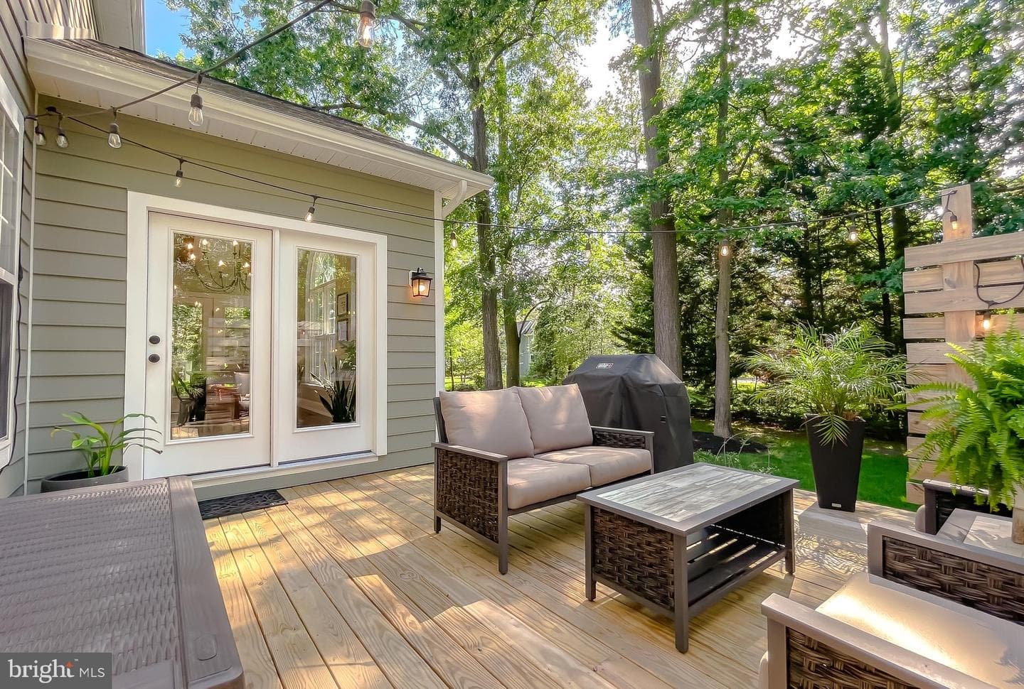 11372 Wollaston photo 79