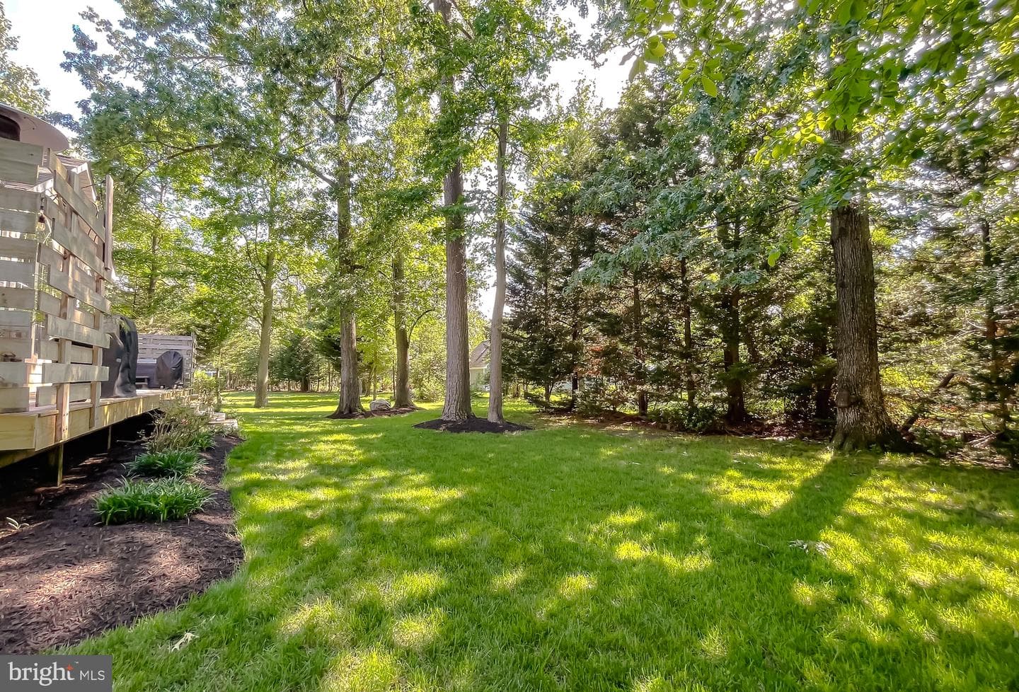 11372 Wollaston photo 81