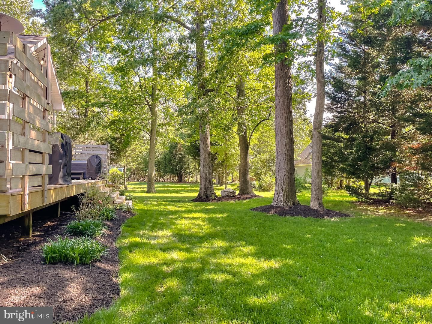 11372 Wollaston photo 82