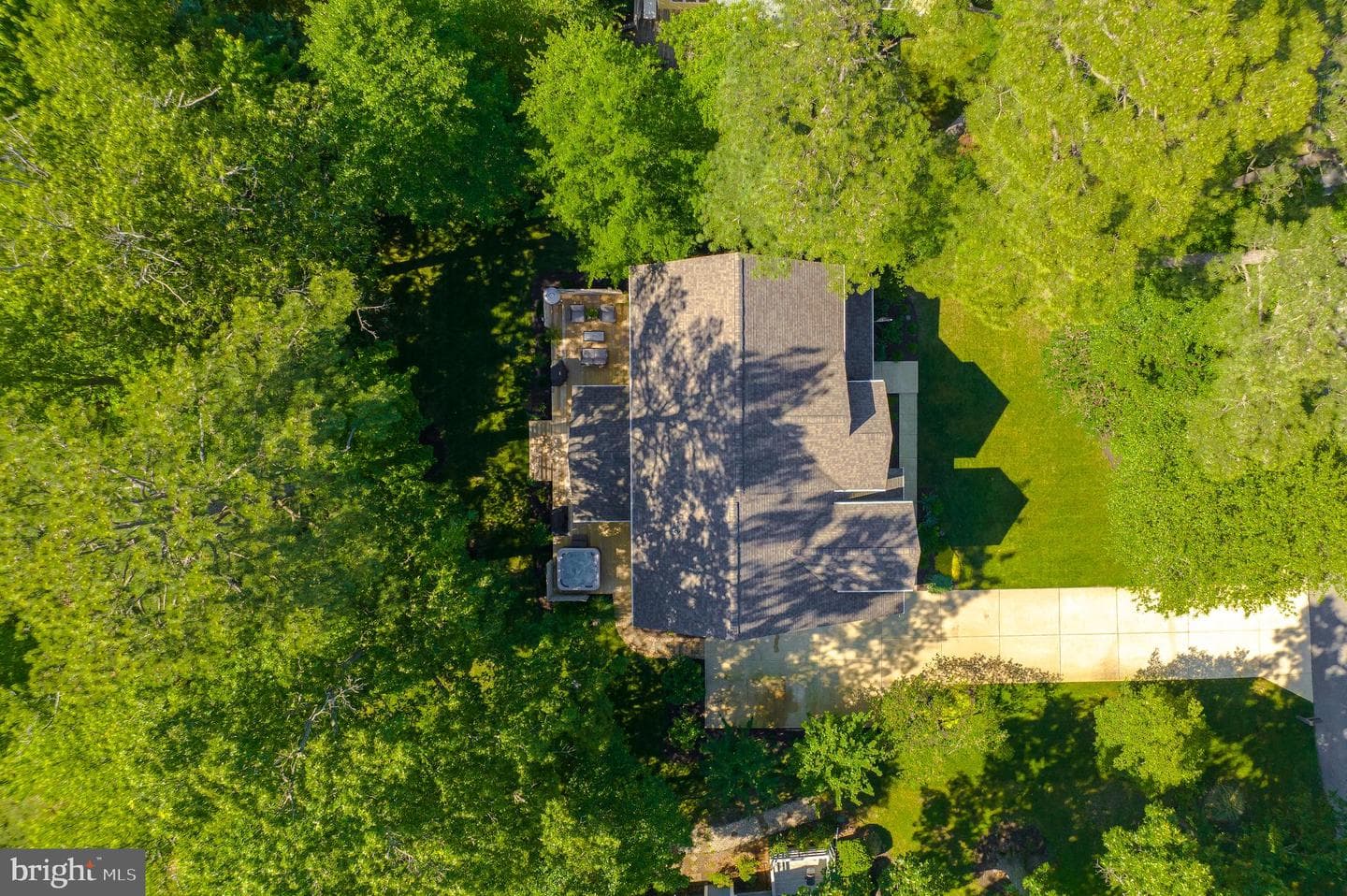 11372 Wollaston photo 85