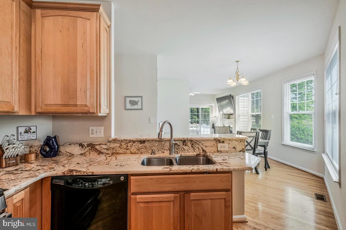 11656 Heart River Court photo 10