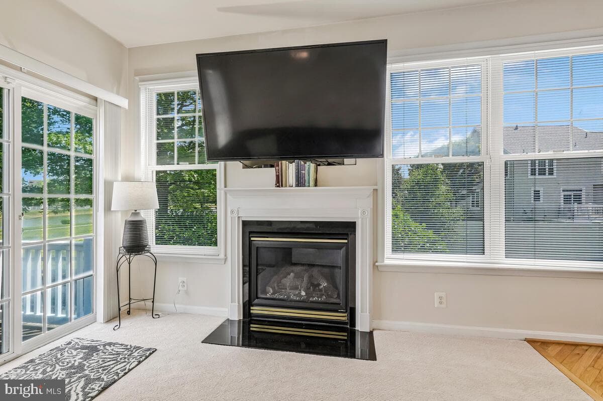 11656 Heart River Court photo 17