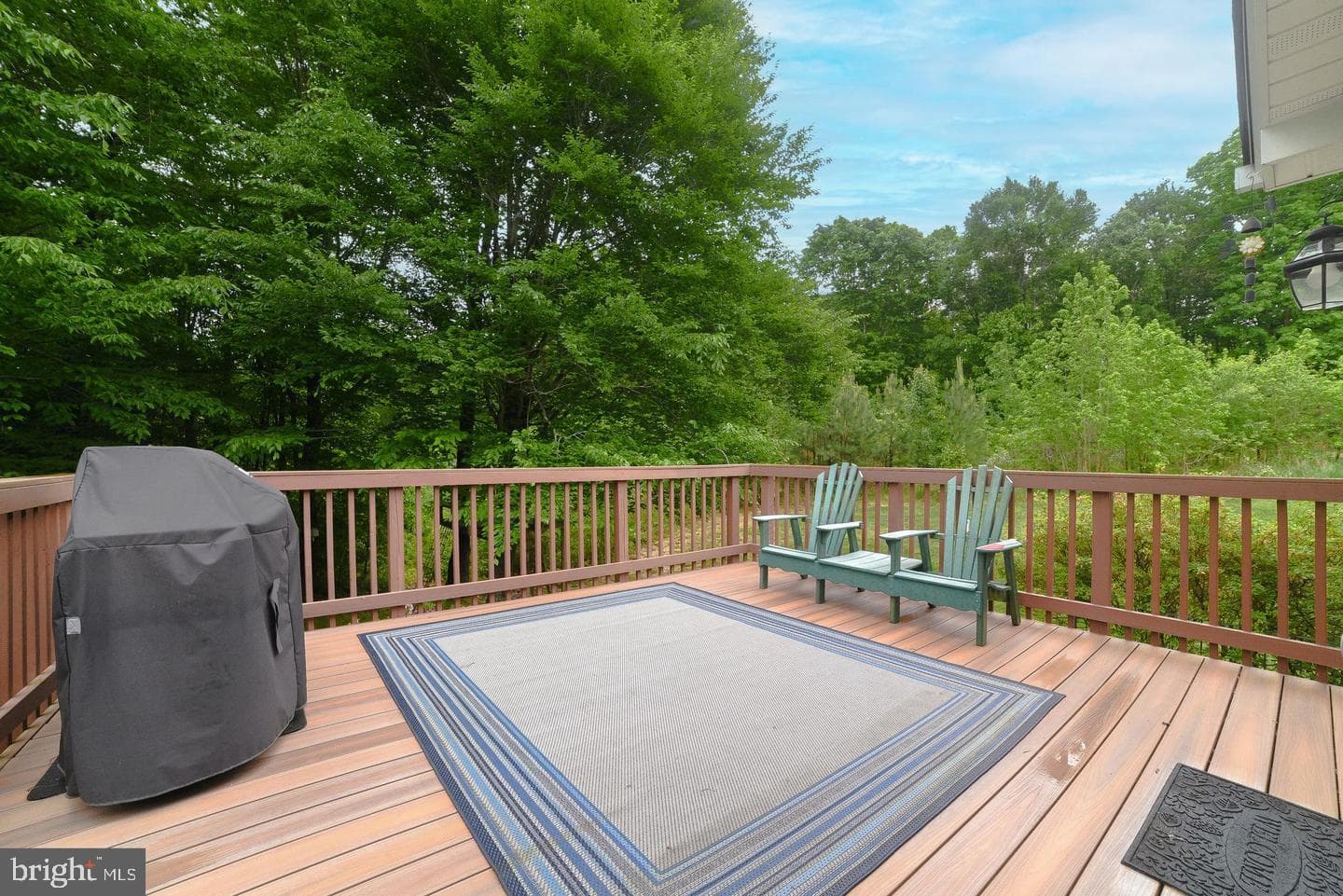 15930 Pointe Meadow Court photo 45