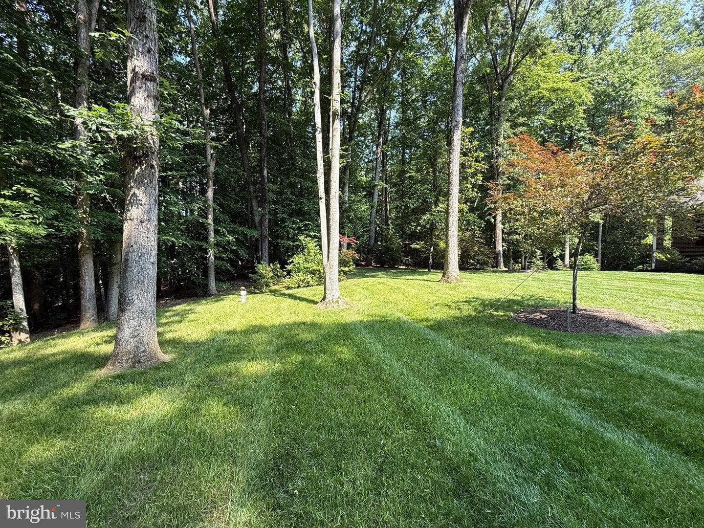 14750 Pilea Place photo 60