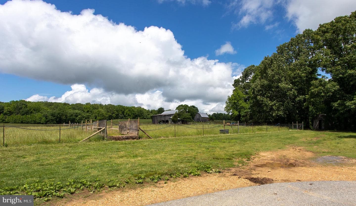 10075 Hungry Spring Place photo 10