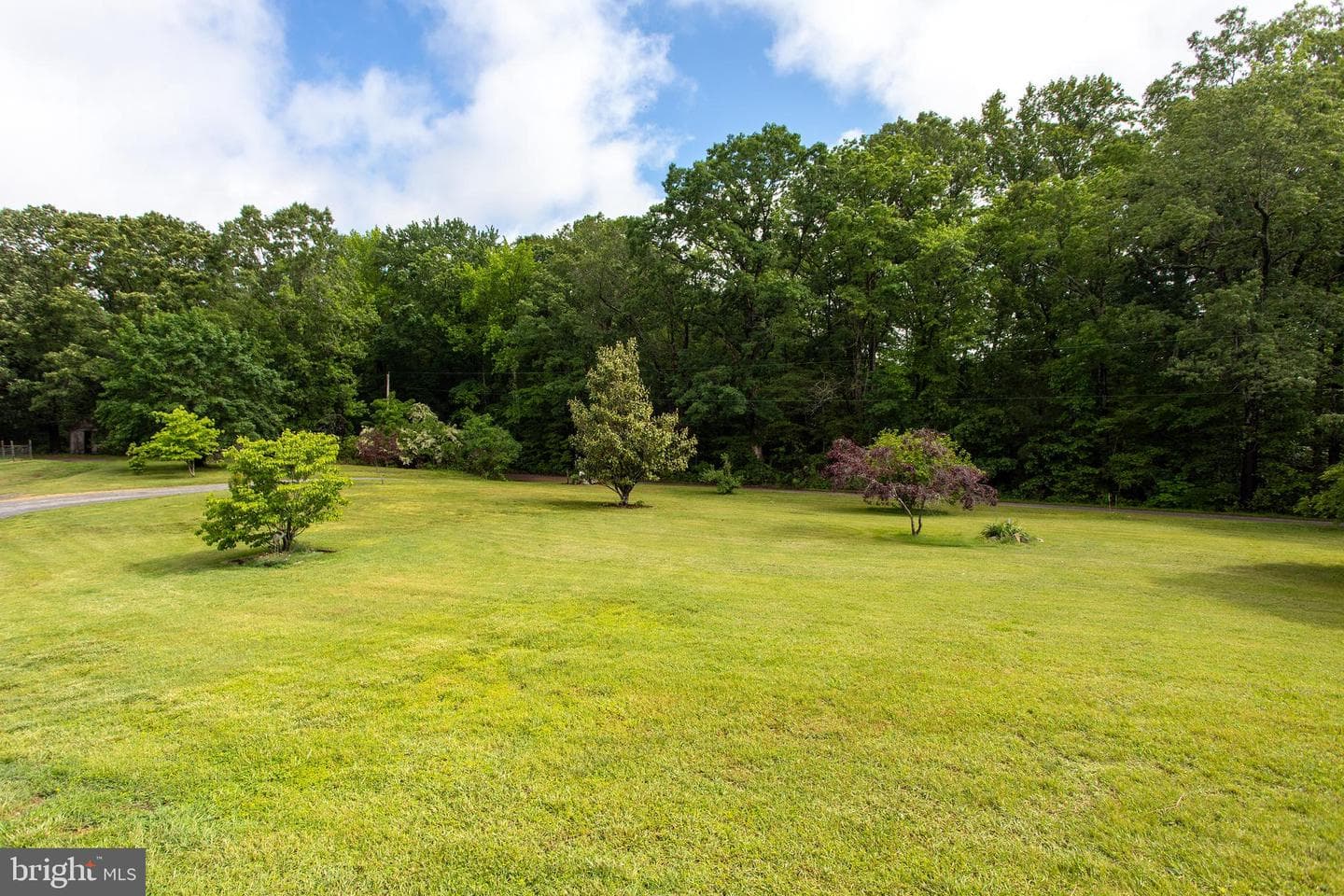 10075 Hungry Spring Place photo 11