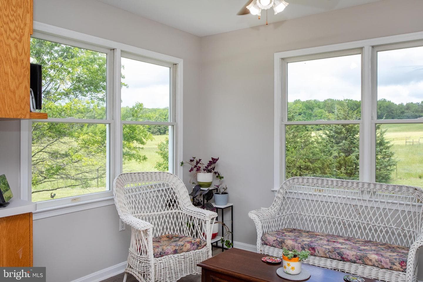 10075 Hungry Spring Place photo 20