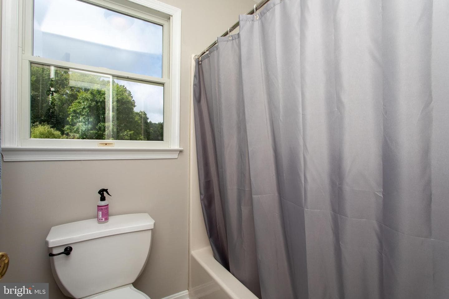 10075 Hungry Spring Place photo 30