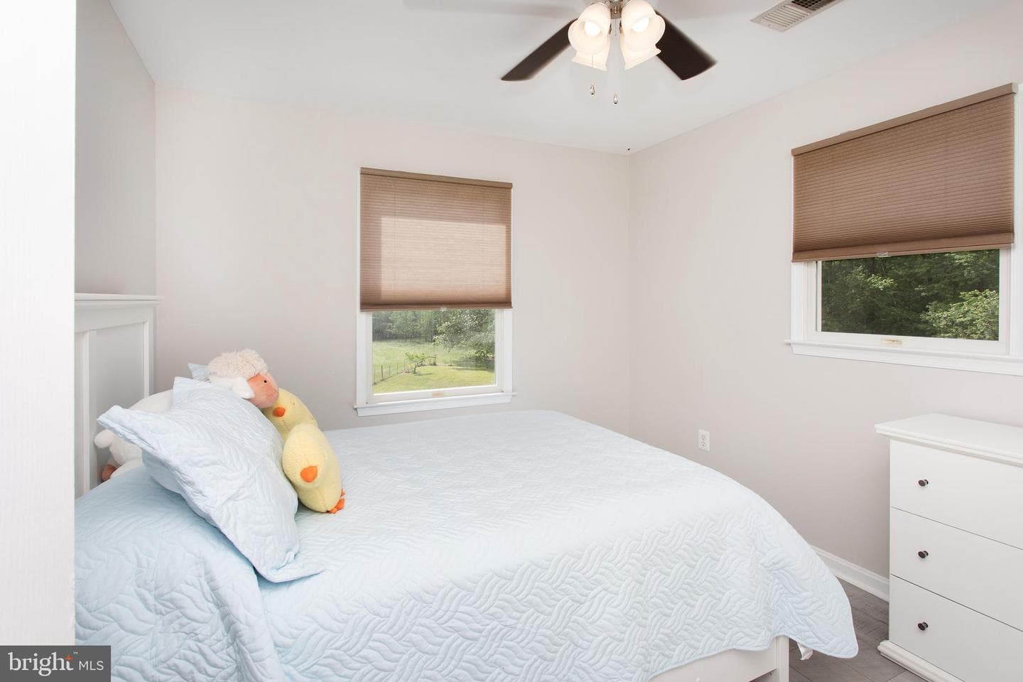 10075 Hungry Spring Place photo 35
