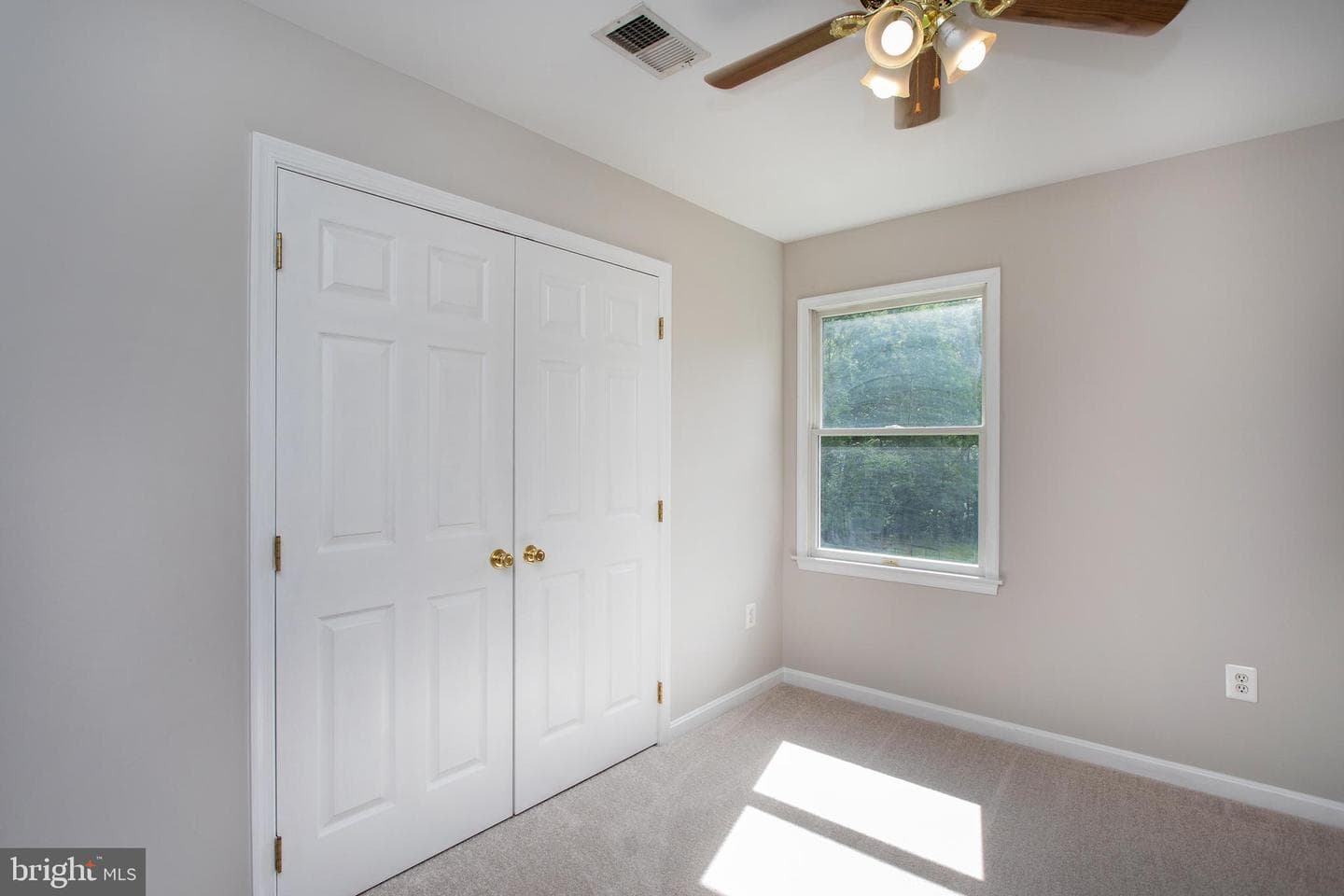10075 Hungry Spring Place photo 42