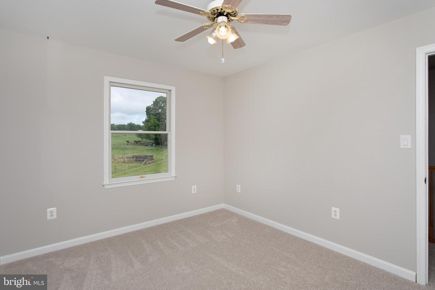 10075 Hungry Spring Place photo 46
