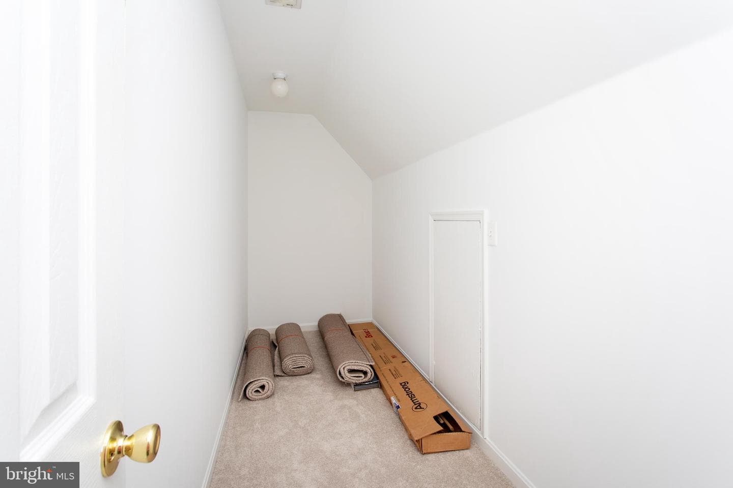 10075 Hungry Spring Place photo 48