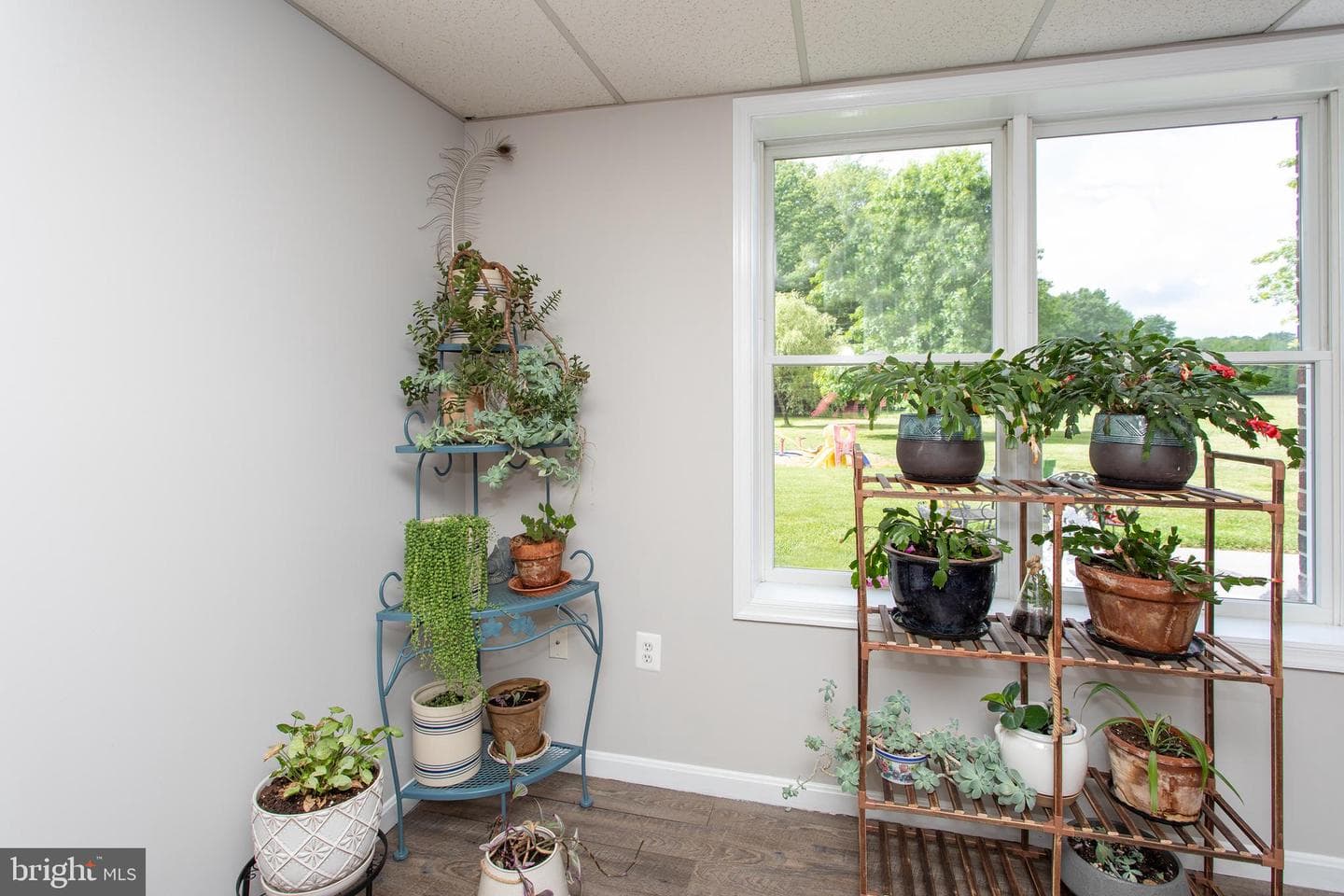 10075 Hungry Spring Place photo 58