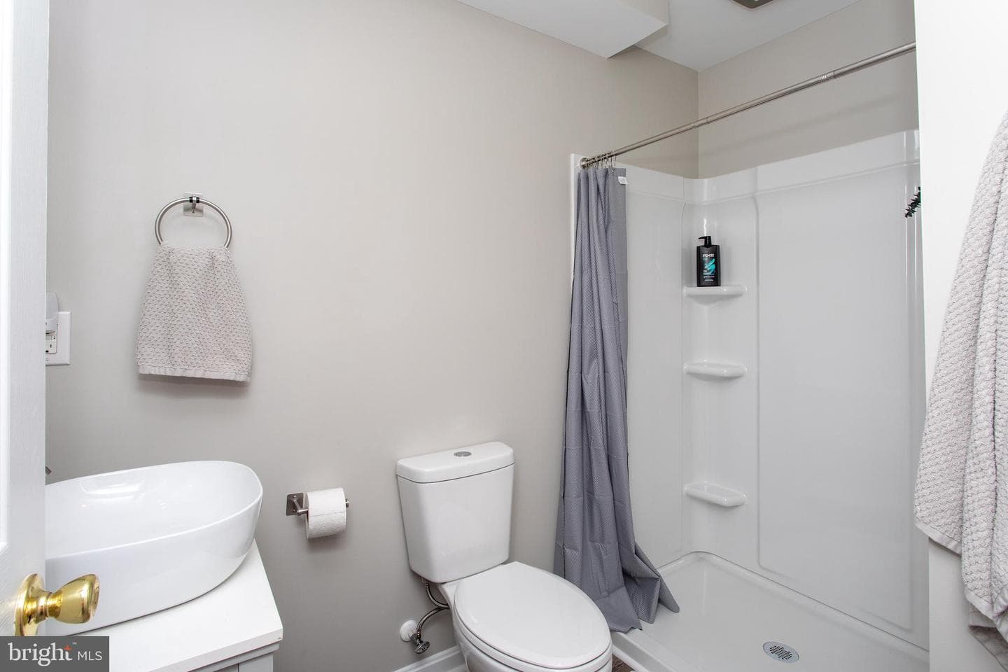 10075 Hungry Spring Place photo 59