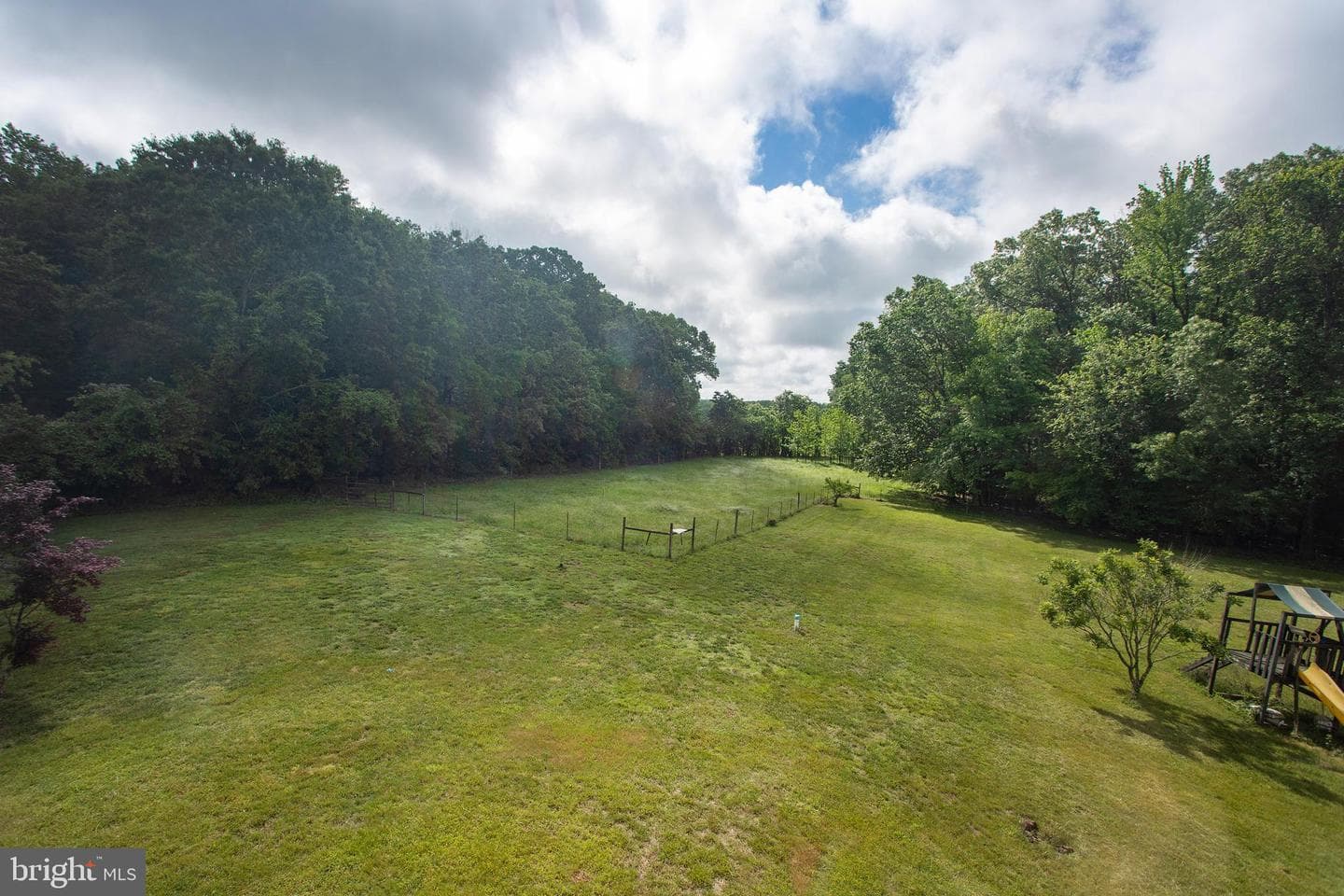 10075 Hungry Spring Place photo 7