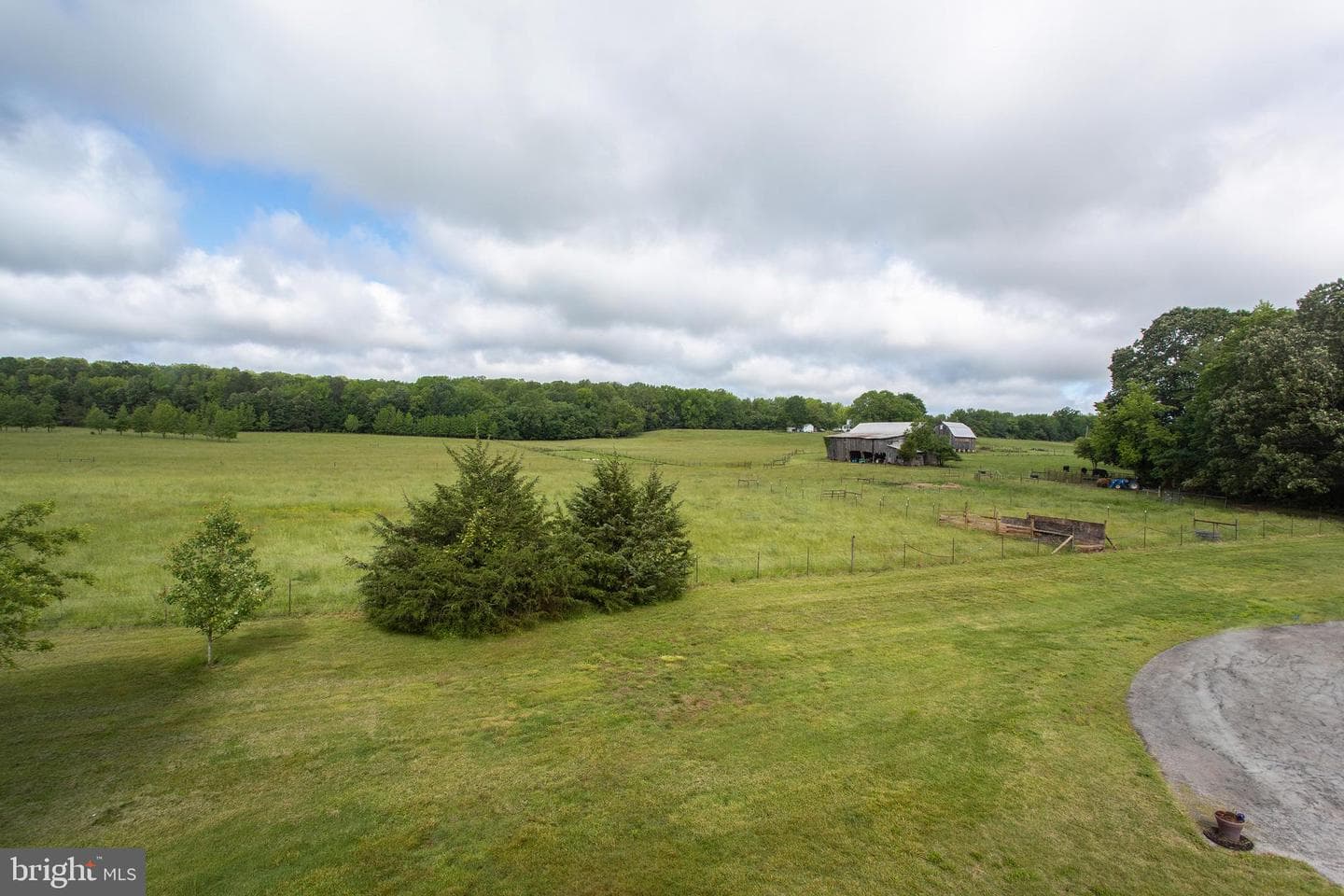 10075 Hungry Spring Place photo 8