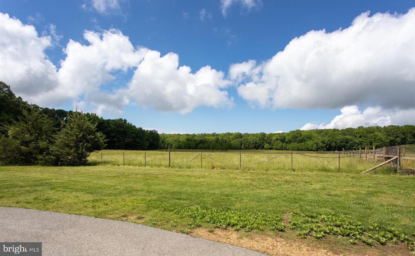 10075 Hungry Spring Place photo 9