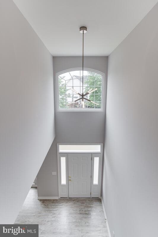 10124 Astill Court photo 36