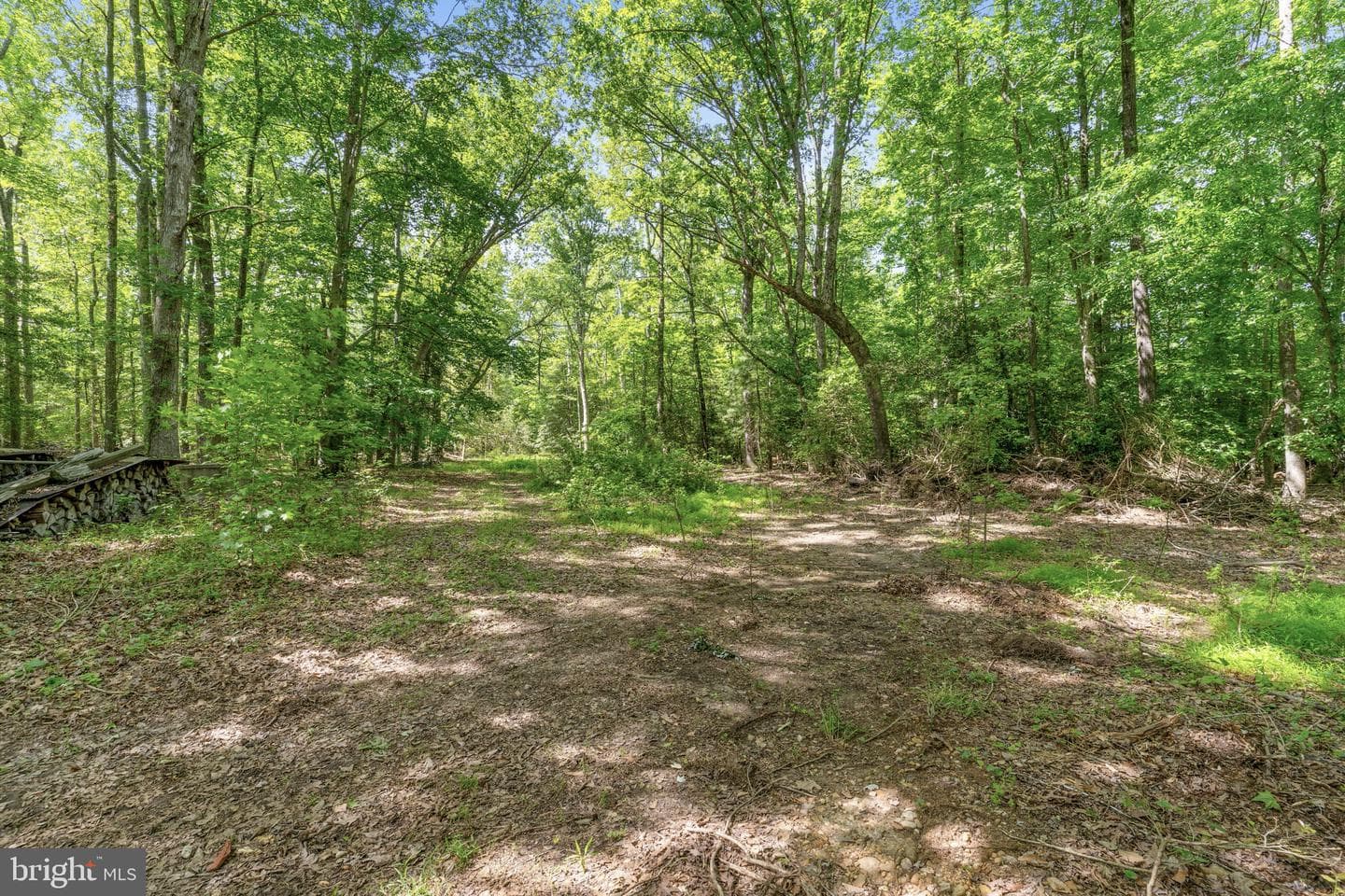 6705 Hawthorne Road photo 48