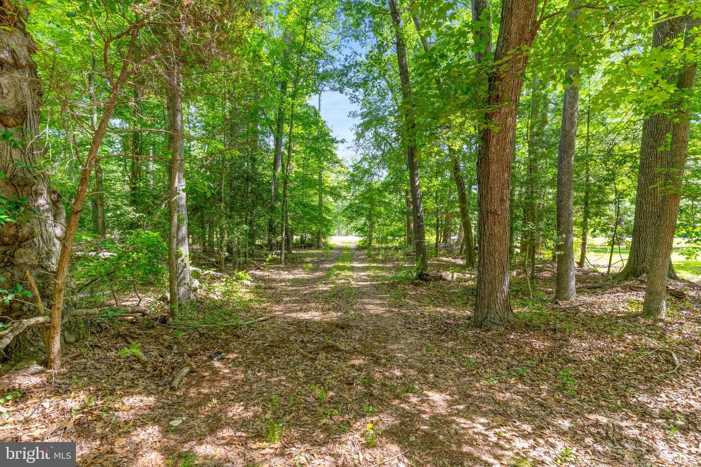 6705 Hawthorne Road photo 49