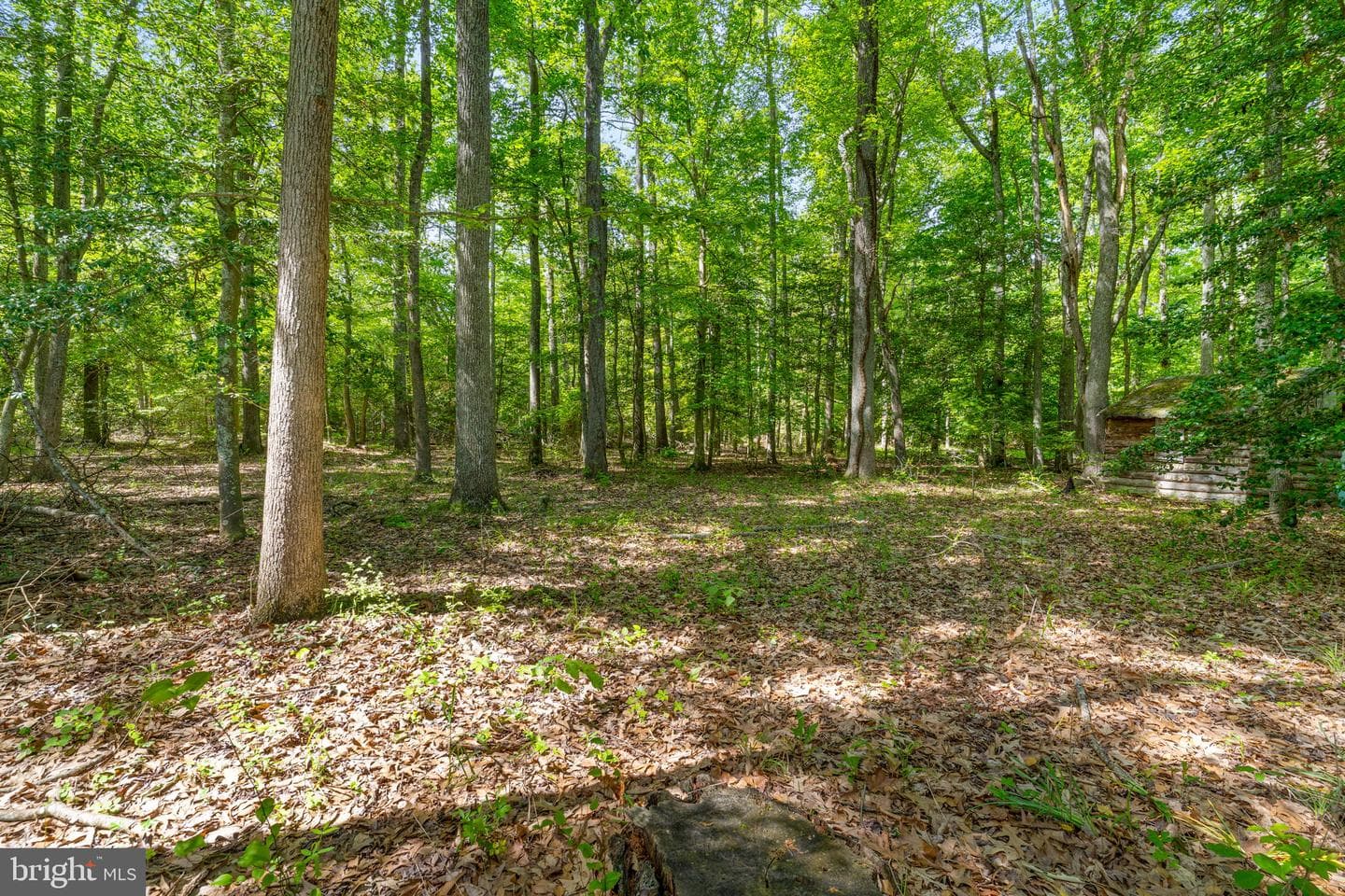 6705 Hawthorne Road photo 50